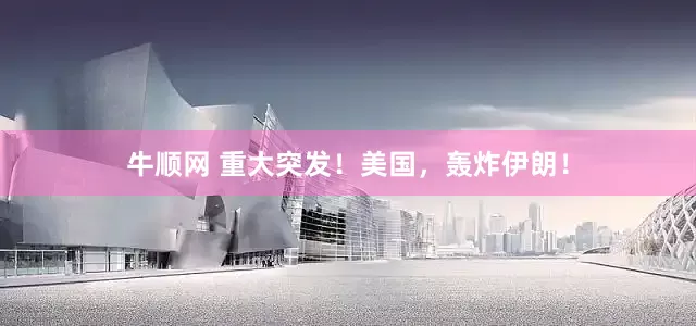 牛顺网 重大突发！美国，轰炸伊朗！