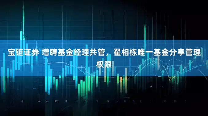 宝钜证券 增聘基金经理共管，翟相栋唯一基金分享管理权限
