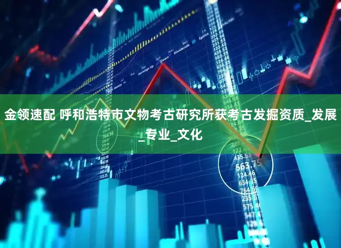 金领速配 呼和浩特市文物考古研究所获考古发掘资质_发展_专业_文化