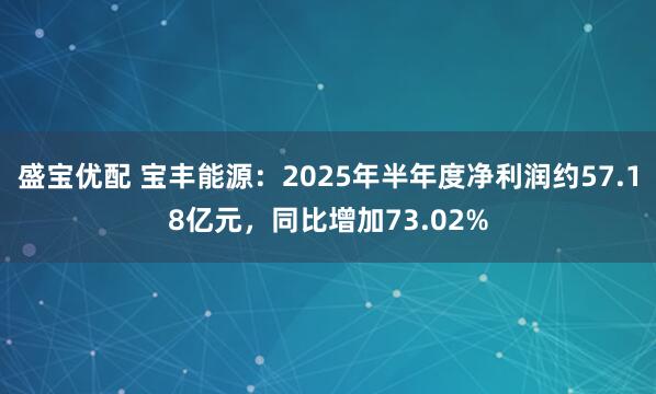 盛宝优配 宝丰能源：2025年半年度净利润约57.18亿元，同比增加73.02%