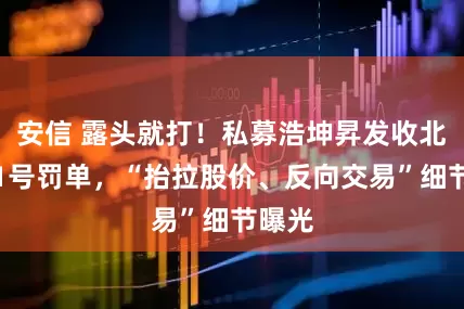 安信 露头就打！私募浩坤昇发收北交所1号罚单，“抬拉股价、反向交易”细节曝光
